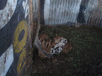 PA170131.JPG
