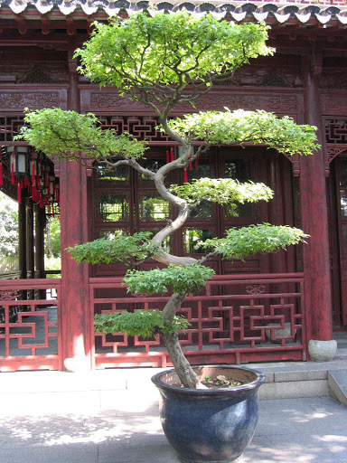 Shanghai - Yu Garden