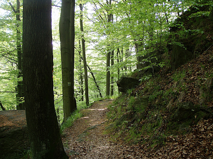 P5080039.JPG
