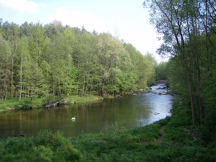 P5090064.JPG