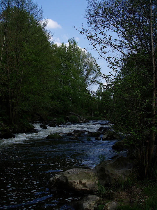 P5090074.JPG