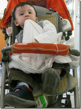 image 連坐嬰兒車也要咬