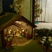 peder-20101222-042.JPG