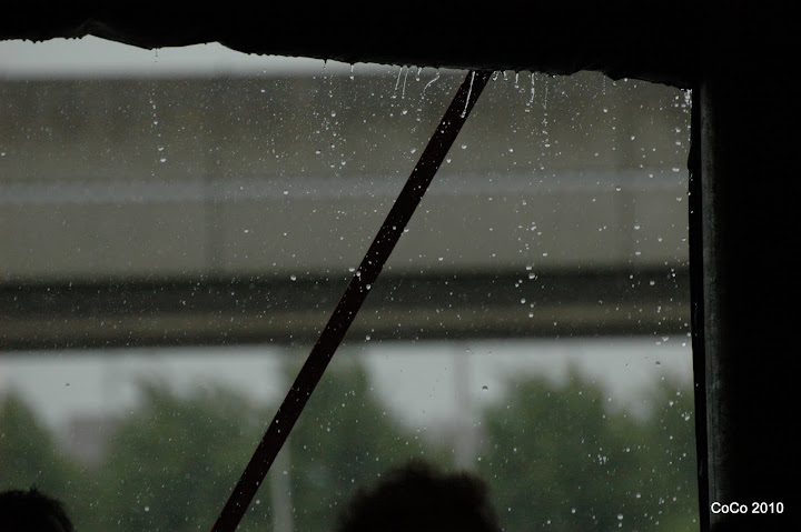 sf2010
