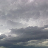 08062009138: