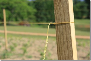 twine twine