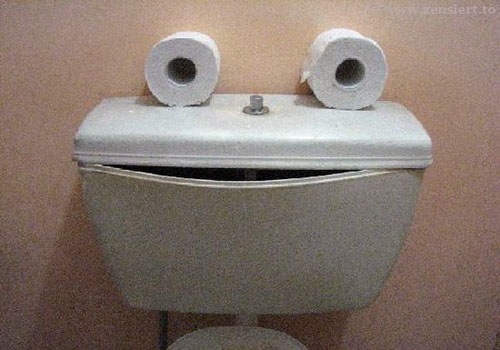 frog toilet