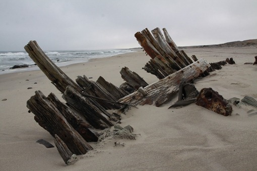 [2010_05_24_12273[2].jpg]