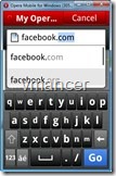 opera mobile 10 on your computer (4)