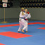 Swedish Cup 2011