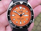 SKX011 mod