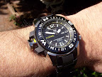 SKZ231