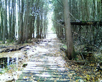 10-02-10_1256.jpg Photo