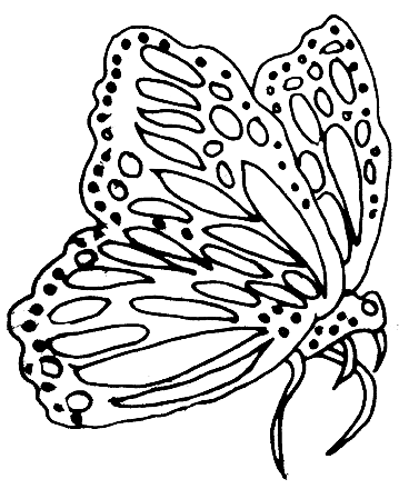 Gallery Black Butterfly Tattoo Designs collection of images with a very nice design and cool