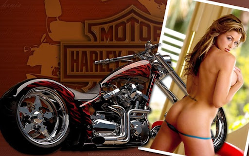 harley wallpapers. Harley Davidson 5
