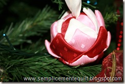IMG_2141 IMG_2141
