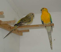 DSCF00512.jpg