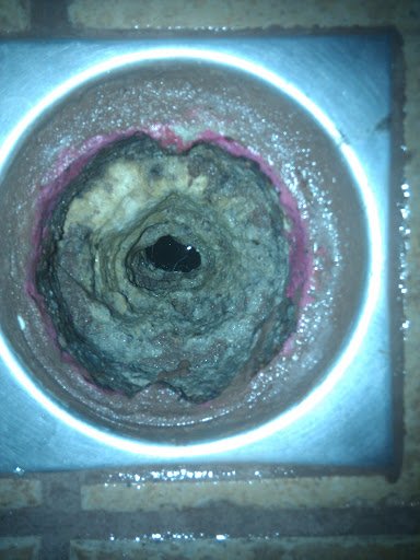 Clogged Shower Drain... Possible Lime Built Up? - Plumbing - DIY ...