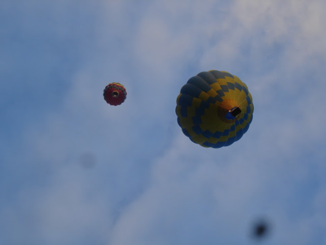 Balloons over Waikato 2007