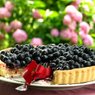 Pita od borovnica/Blackberry pie