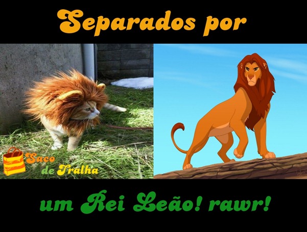 reileao