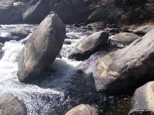 tailwater