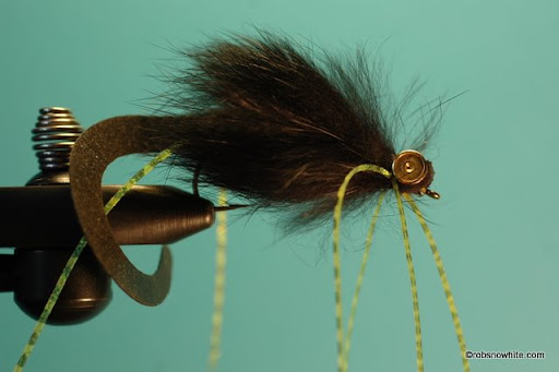 Curly Tail Bunny