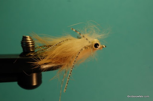 bunny shrimp