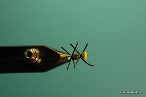 Small Bug