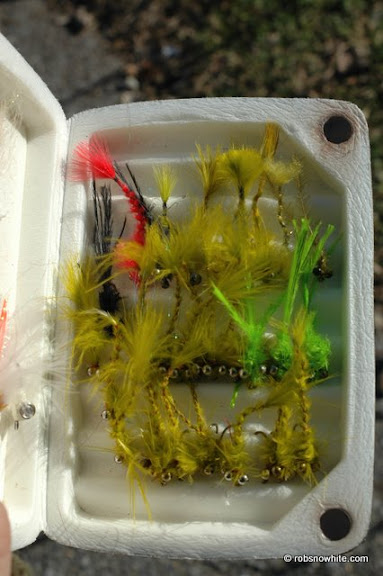 box of damsels