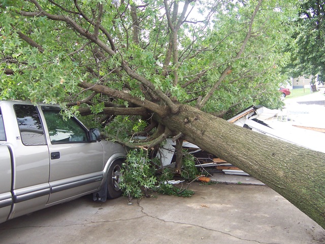 [storms 002[2].jpg]