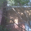IMG00141.jpg