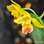 DSC_0776.JPG