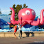 DSC_674.JPG