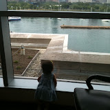 Shedd