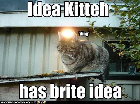 [funny-pictures-cat-has-an-idea[4].jpg]
