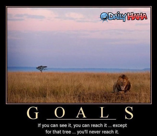 [goals[7].jpg]