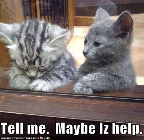 [sad lolcat[3].jpg]