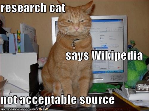 [research-cat-lolcat-706798[3].jpg]