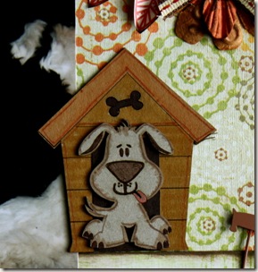 IMG_5738 IMG_5738