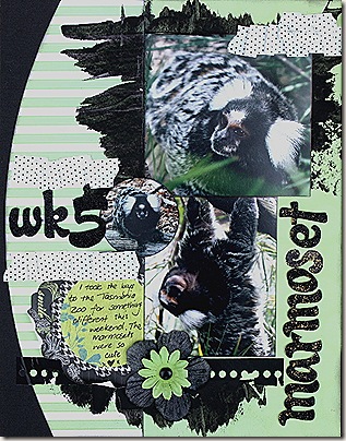 IMG_6977 IMG_6977