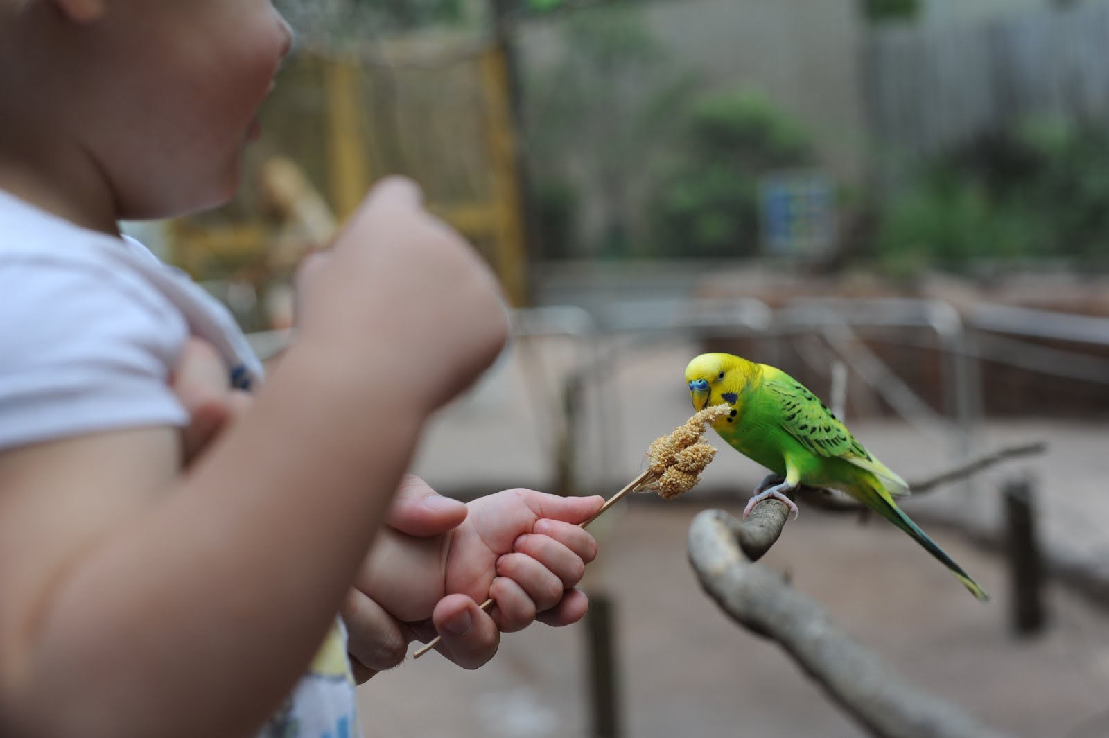 [DSC_0070[2].jpg]