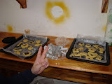 DSC02406_resize.JPG