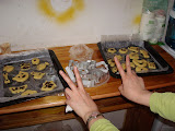 DSC02407_resize.JPG