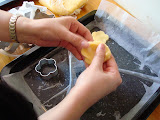 DSC02383_resize.JPG