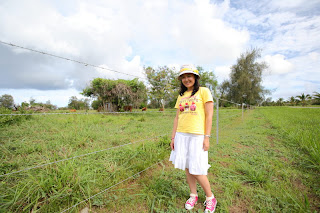 IMG_7972_调整大小.JPG