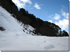 Kullu Manali photo
