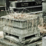 PICT2750