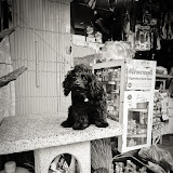 DSC00888