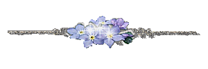 http://lh6.ggpht.com/_M8hVgAUpzQc/TKxhXjiT1RI/AAAAAAAACWU/WHuNvdtXht4/is03_trennlinie04.gif